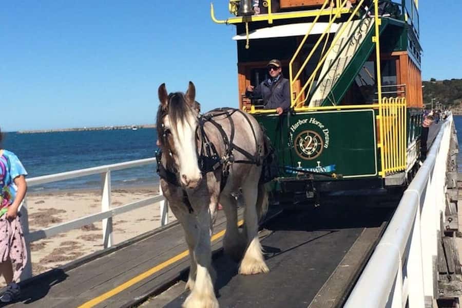 Adelaide: South Australia Guided Full-Day Highlights Tour - Hahndorf, German food, and one-hour wandering time