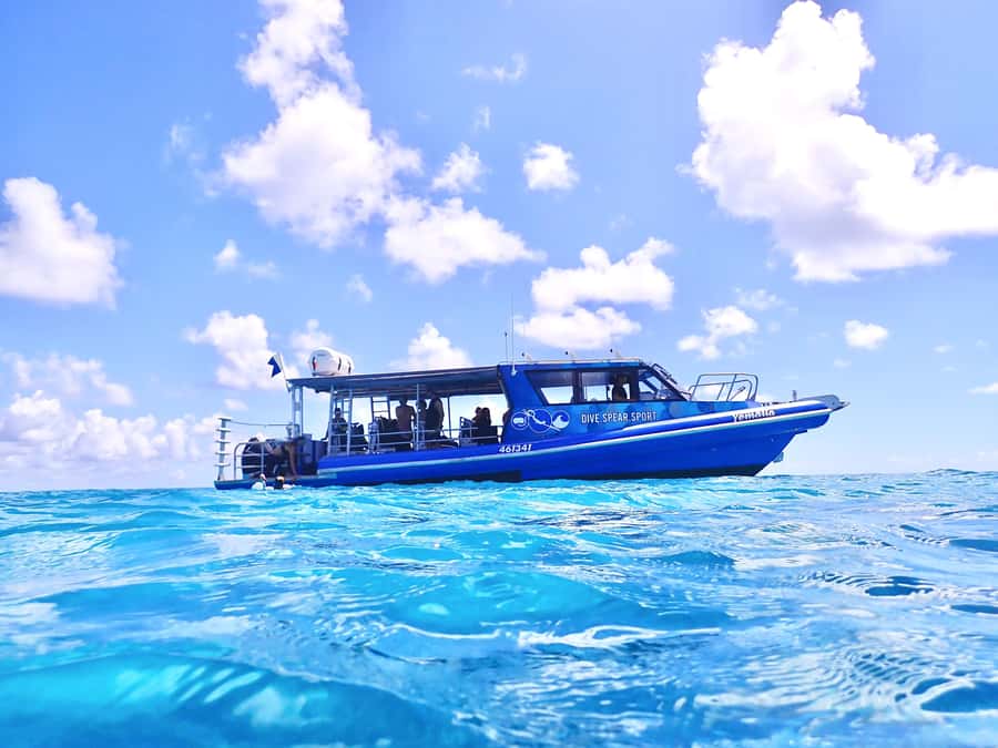 Agnes/1770: Southern Great Barrier Reef Snorkelling Day Trip - Why the Southern Great Barrier Reef makes a good day trip