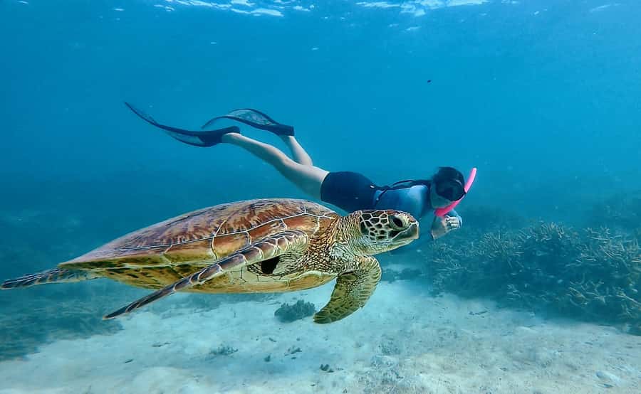 Agnes/1770: Southern Great Barrier Reef Snorkelling Day Trip - The 15-minute safety briefing
