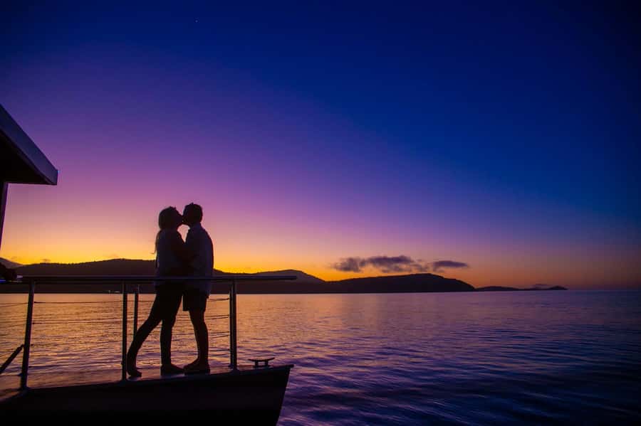 Airlie Beach: 2-Hour Sunset Cruise with Sparkling Wine - Turtles, Dolphins, and the Wildlife Factor