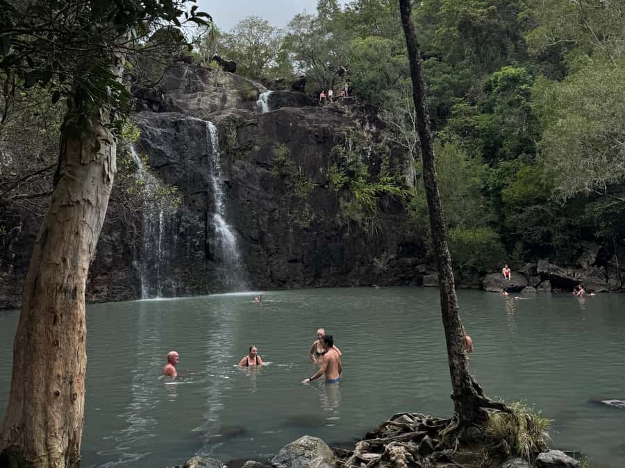 Airlie Beach: Cedar Creek Express Eco Tour - Is $63 good value for a three-hour outing?