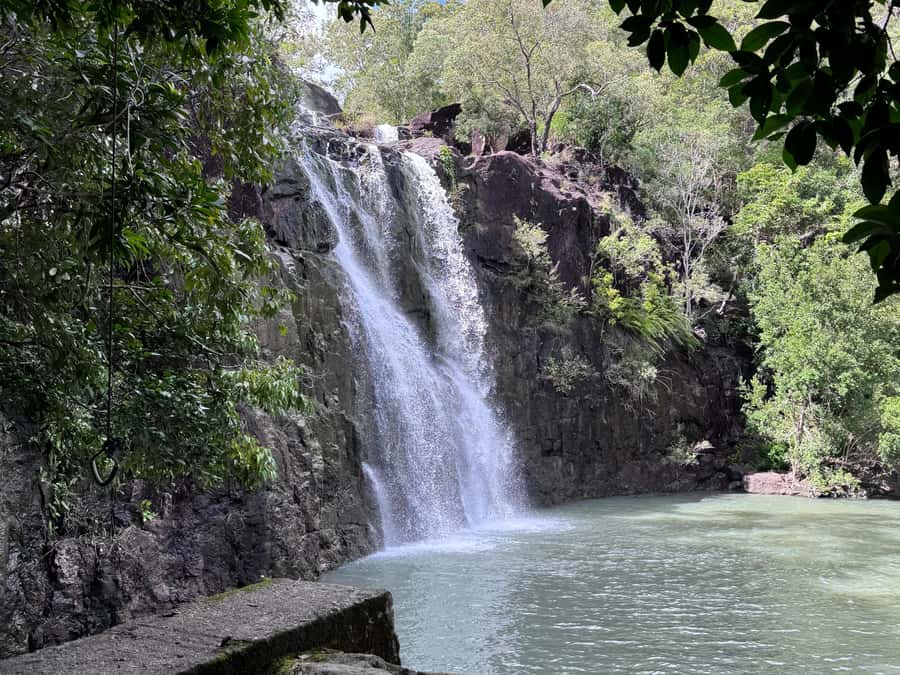 Airlie Beach: Cedar Creek Express Eco Tour - Practical details before you book