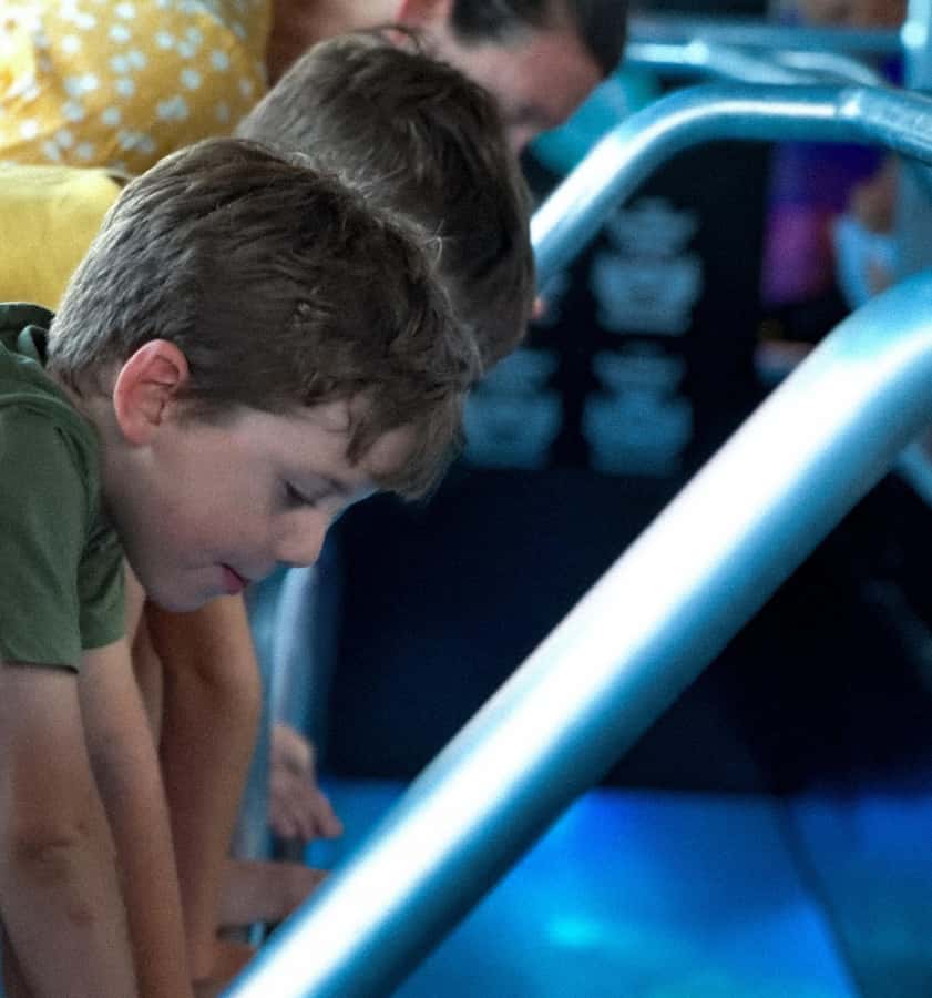 Airlie Beach: Glass-Bottom Boat Night Tour - What the Airlie Beach night cruise is really like