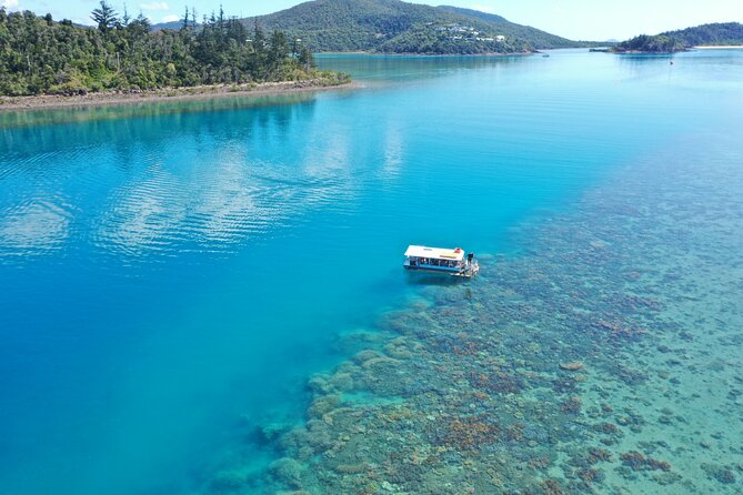 Airlie Beach: Glass-Bottom Boat Tour - Key points at a glance