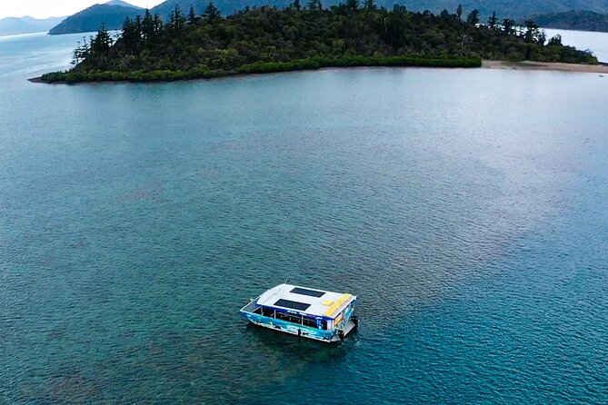 Airlie Beach: Glass-Bottom Boat Tour - Starting at Shute Harbour Marine Terminal