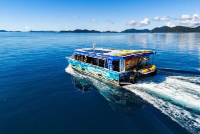 Glass-Bottom Boat Tour