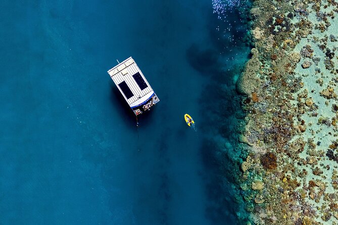 Airlie Beach: Glass-Bottom Boat Tour - How it compares with snorkeling