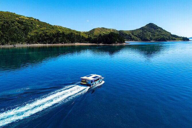 Airlie Beach: Glass-Bottom Boat Tour - The $63 price and what you receive