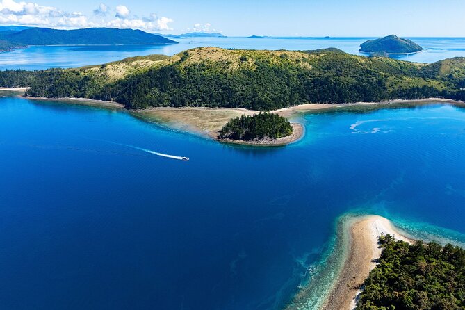 Airlie Beach: Glass-Bottom Boat Tour - Who will enjoy this Airlie Beach boat trip