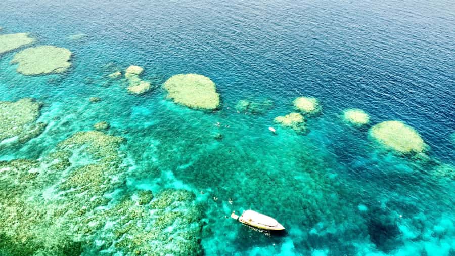 Airlie Beach: Great Barrier Reef & Whitehaven Beach Tour - Why the speedboat makes this day possible