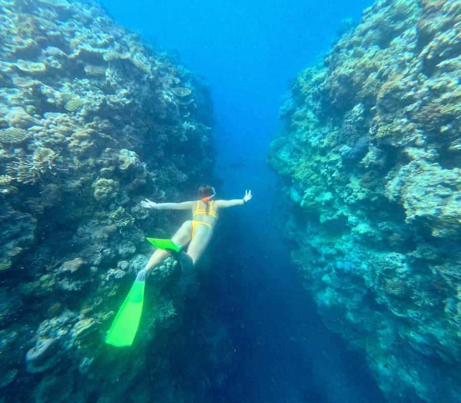 Airlie Beach: Great Barrier Reef & Whitehaven Beach Tour - A crew that takes safety seriously