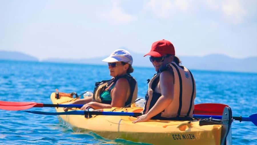 Airlie Beach: Half Day Turtle Tour Sea Kayaking Adventure - Looking for turtles and birdlife