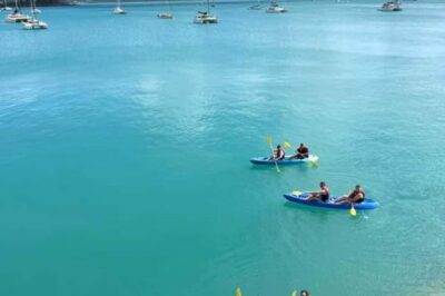 Half Day Turtle Tour Sea Kayaking Adventure