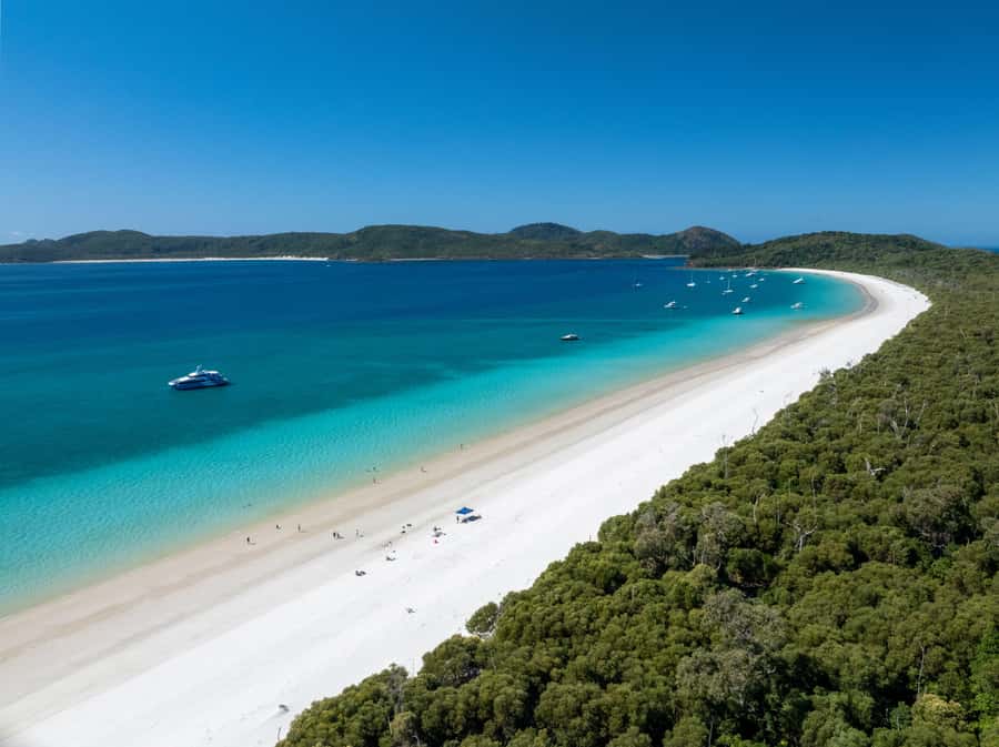 Airlie Beach: Hill Inlet Lookout and Whitehaven Beach Cruise - What to bring and how to prepare