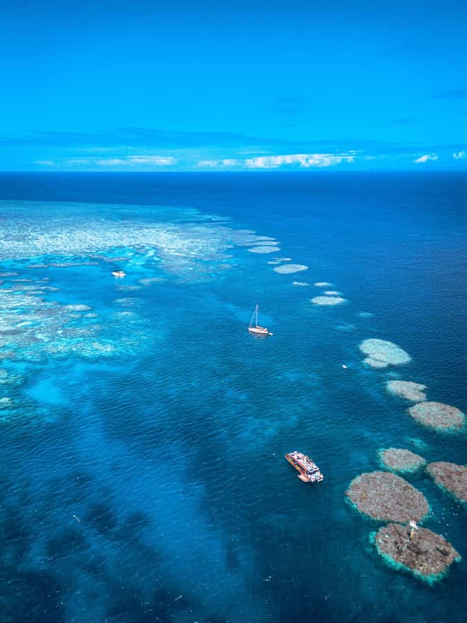 Airlie Beach: Outer Great Barrier Reef Snorkeling Day Trip - What to pack for an easier day