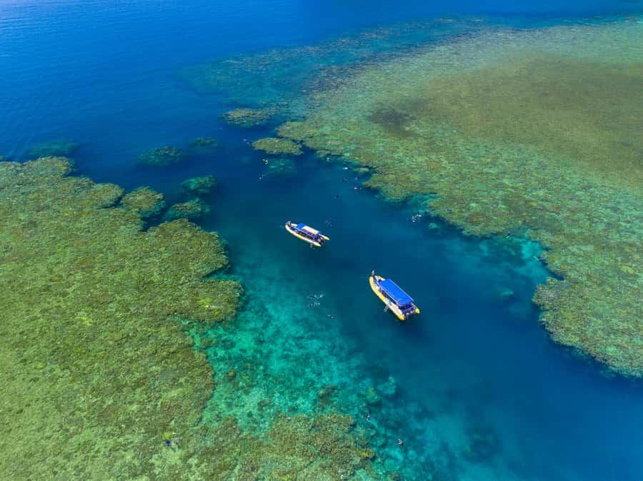 Airlie Beach: Snorkel, Hill Inlet Lookout & Whitehaven Beach - Key points to know before you book
