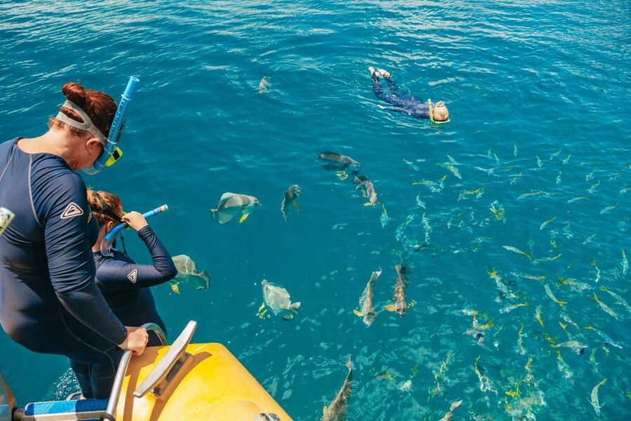 Airlie Beach: Snorkel, Hill Inlet Lookout & Whitehaven Beach - Pickup times and practical planning