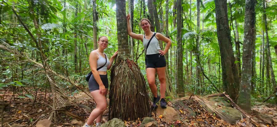 Airlie Beach: Waterfall & Rainforest Bushwalk Eco Adventure - Why this rainforest and waterfall pairing works