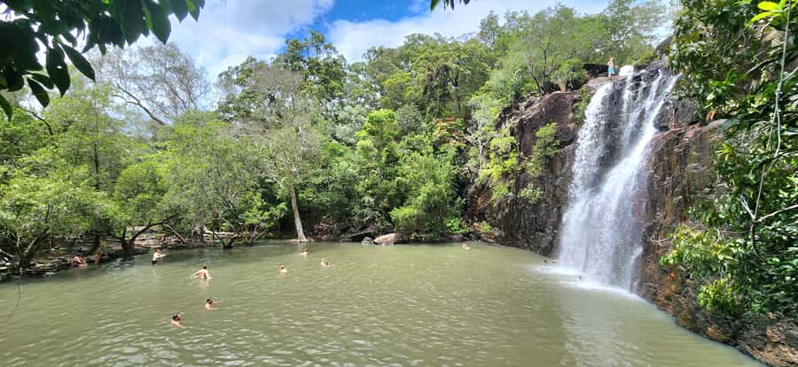 Airlie Beach: Waterfall & Rainforest Bushwalk Eco Adventure - Walking beneath Conway National Park’s tall trees