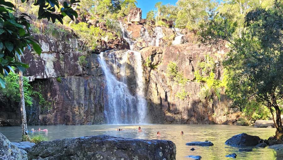 Airlie Beach: Waterfall & Rainforest Bushwalk Eco Adventure - Cedar Creek Falls and the one-hour swim