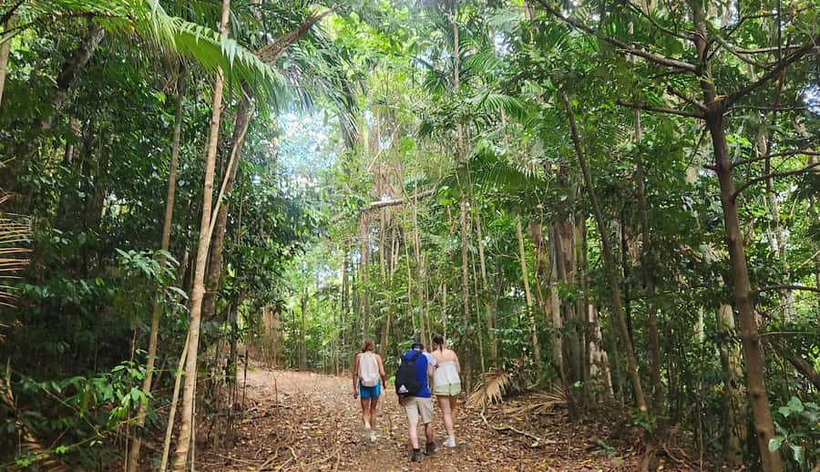 Airlie Beach: Waterfall & Rainforest Bushwalk Eco Adventure - Booking flexibility and practical limits