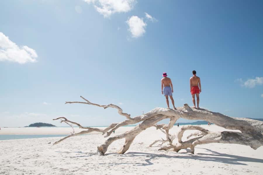 Airlie Beach: Whitehaven Beach Cruise and Hill Inlet - Swimming, walking, and free time on Whitehaven