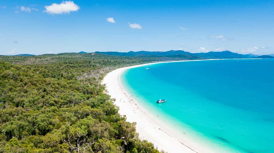Airlie Beach: Whitehaven Beach Day Tour with Snorkel Option - Who will enjoy this tour most