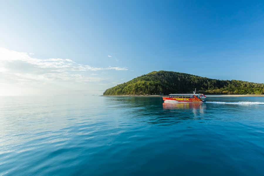 Airlie Beach: Whitehaven Full-Day Eco-Cruise with Buffet - Practical value at $162