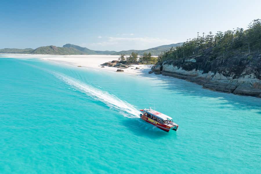 Airlie Beach: Whitehaven Full-Day Eco-Cruise with Buffet - Why this Whitehaven day trip works so well