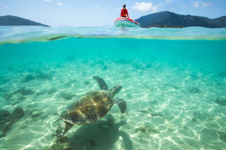 Airlie Beach: Whitehaven Full-Day Eco-Cruise with Buffet - The catamaran ride and the first taste of the day