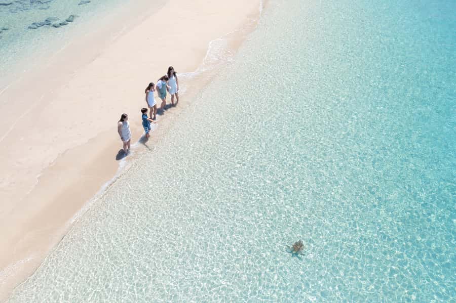 Airlie Beach: Whitehaven Full-Day Eco-Cruise with Buffet - What lunch and snacks are really like