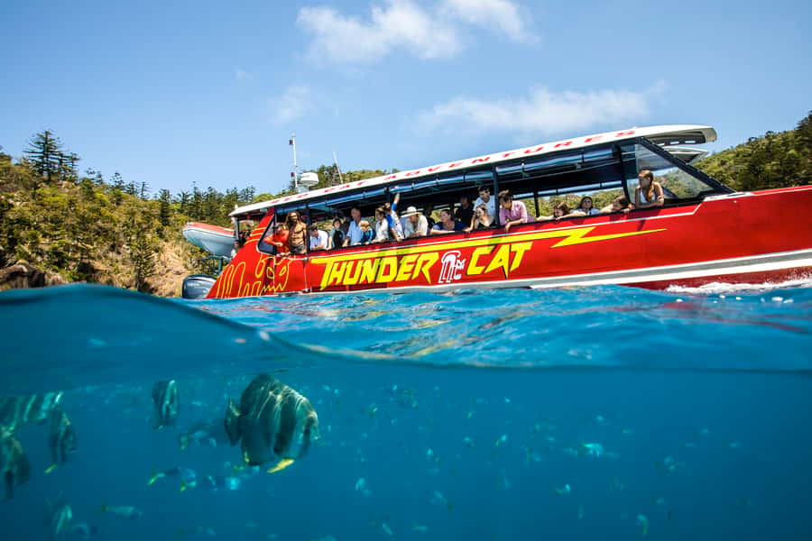 Airlie Beach: Whitehaven Full-Day Eco-Cruise with Buffet - How the crew shapes the day