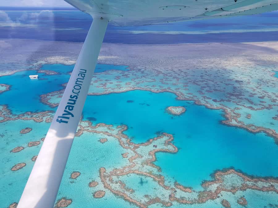 Airlie Beach: Whitsunday Islands & Heart Reef Scenic Flight - Key points to know before booking
