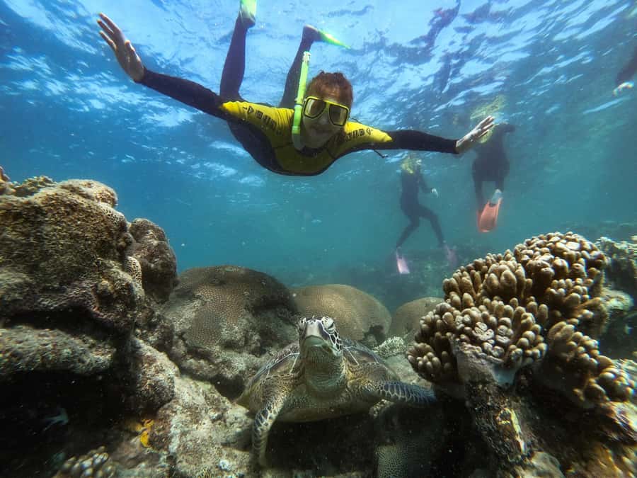 Airlie Beach: Whitsunday Islands Sailing, SUP & Snorkel Tour - Langford Island brings the beach break