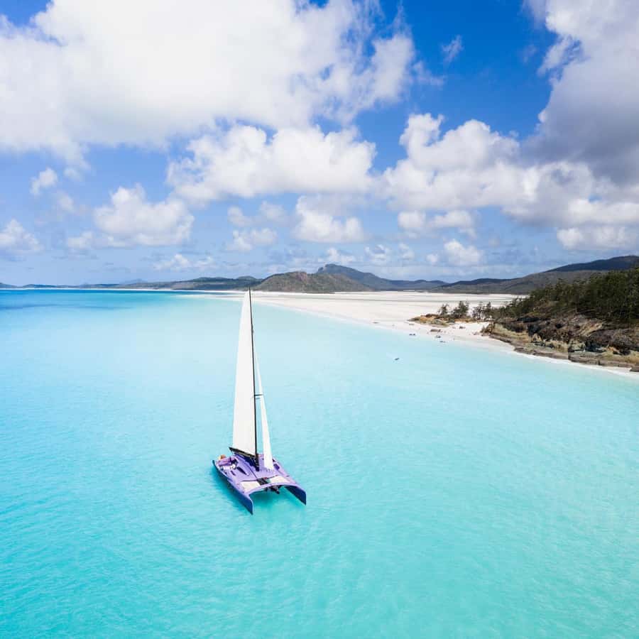 Airlie Beach: Whitsundays Full-Day Camira Sailing Adventure - Should you book the Camira sailing adventure?