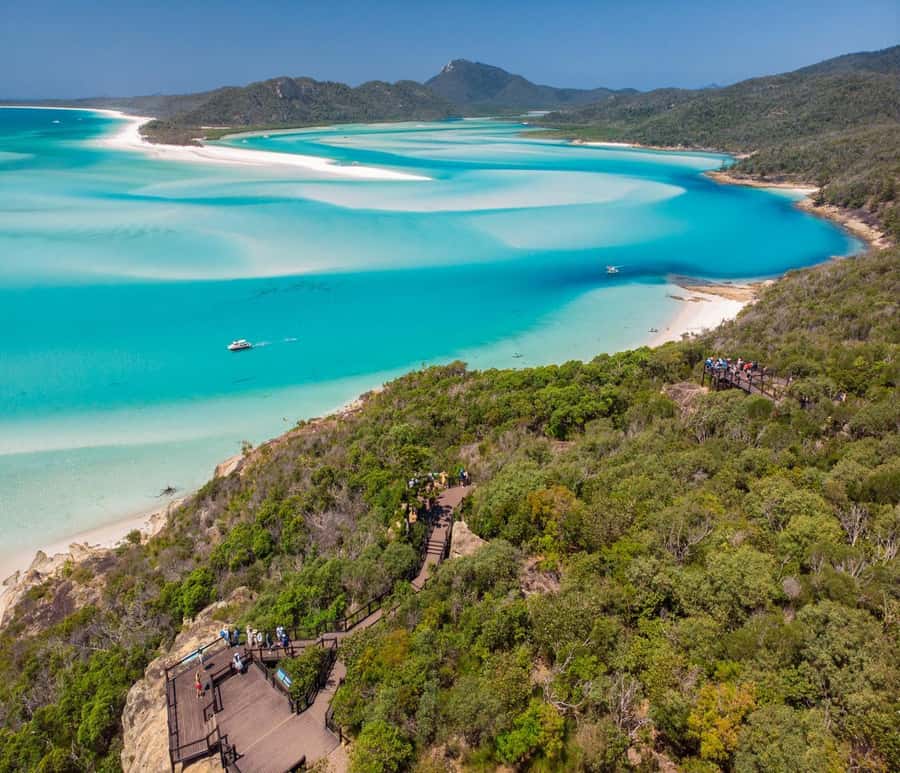 Airlie Beach: Whitsundays Full-Day Camira Sailing Adventure - Snorkeling at a fringing reef