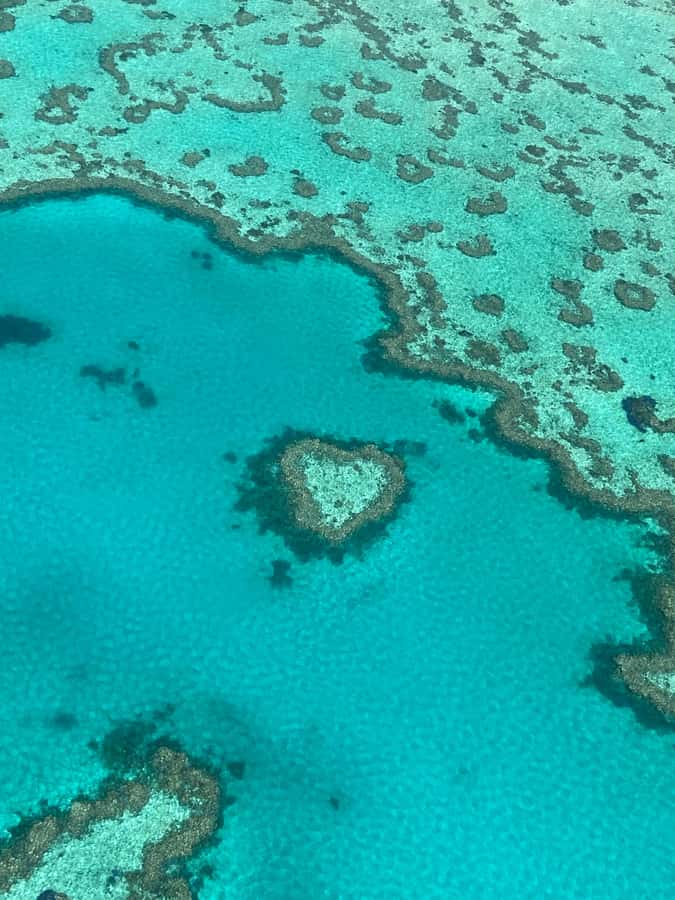 Airlie Beach: Whitsundays & Great Barrier Reef Scenic Flight - Key points to know before you book