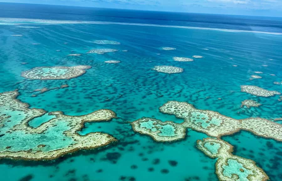 Airlie Beach: Whitsundays & Great Barrier Reef Scenic Flight - Why the Whitsundays look different from the air