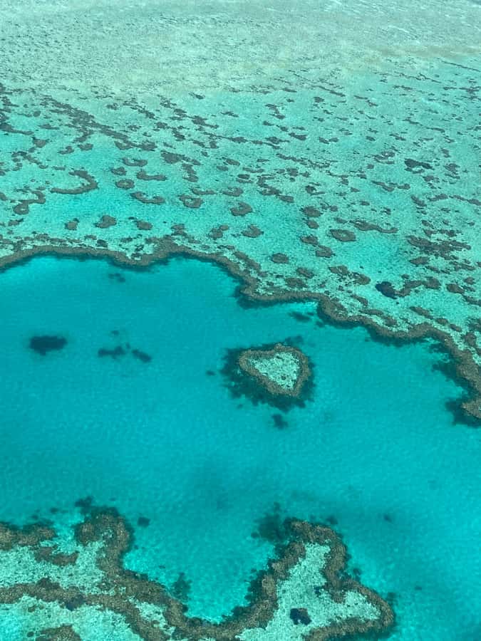 Airlie Beach: Whitsundays & Great Barrier Reef Scenic Flight - Who will enjoy this most