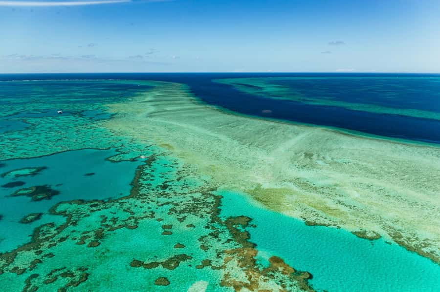Airlie Beach: Whitsundays & Heart Reef Scenic Flight - Key points to know before booking