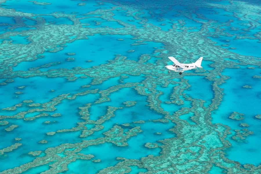 Airlie Beach: Whitsundays & Heart Reef Scenic Flight - Who will get the most from this experience