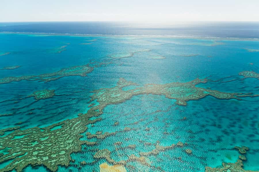 Airlie Beach: Whitsundays & Heart Reef Scenic Flight - Boarding a fixed-wing aircraft with a window for everyone
