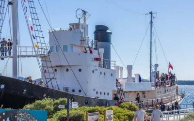 Albany: Historic Whaling Station Entry Ticket