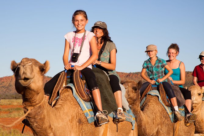 Alice Springs Camel Tour - Key points at a glance