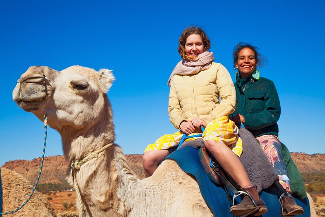 Alice Springs Camel Tour - Why this camel ride works near Alice Springs