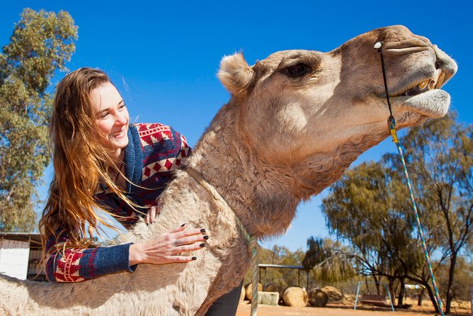 Alice Springs Camel Tour - Wildlife, silence, and the small details