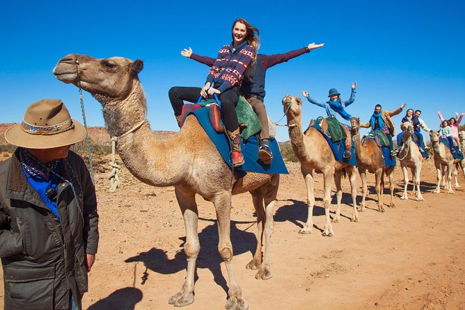 Alice Springs Camel Tour - Is $64.55 good value?