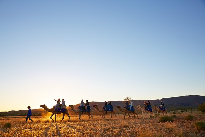 Alice Springs Camel Tour - Fitness, comfort, and who should think twice