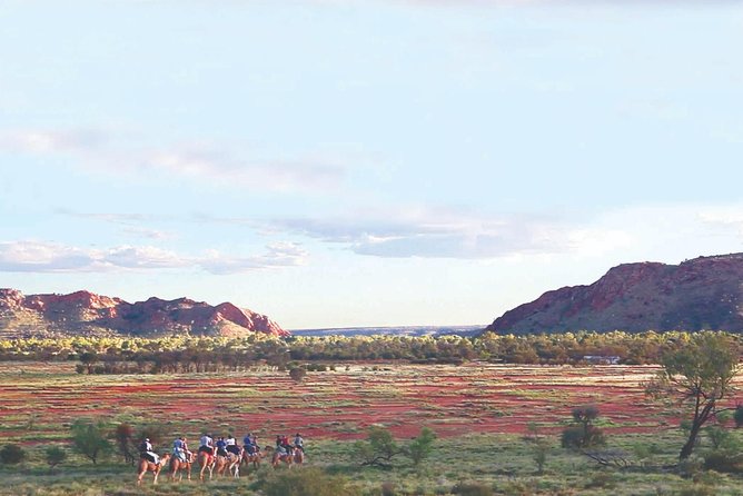 Alice Springs Camel Tour - The staff and the feel of the operation