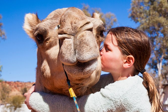 Alice Springs Camel Tour - Choosing afternoon or sunset departure